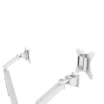 Monitorarm EASY för 2 skärmar - Bild 6